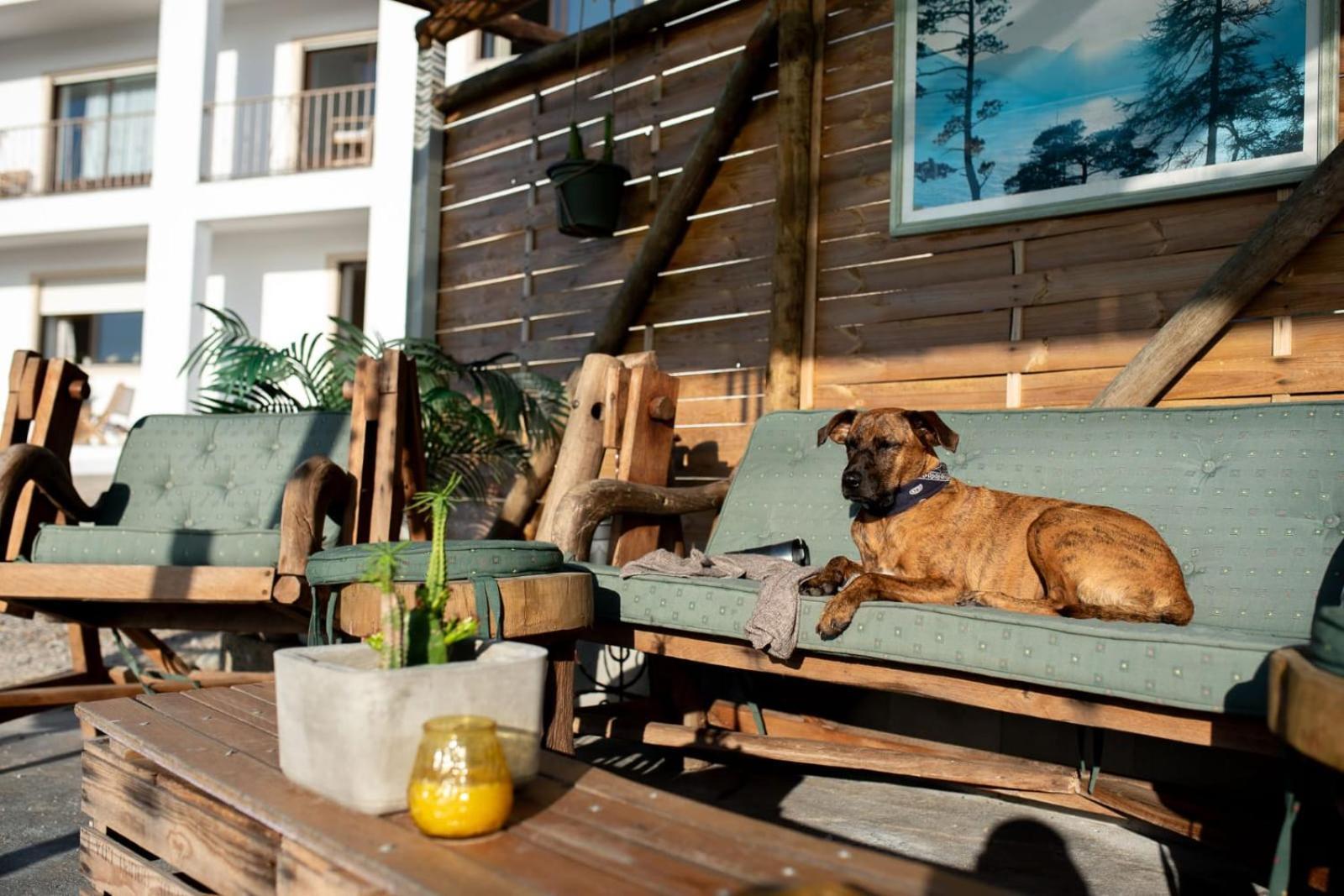 Villa Intuitiva - Relaxation And Mindful Stay 로리냐 외부 사진